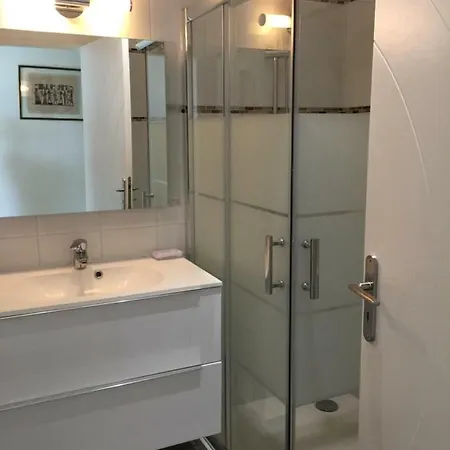 Vizzavona Piscine Et Jacuzzi Ajaccio (Corsica)