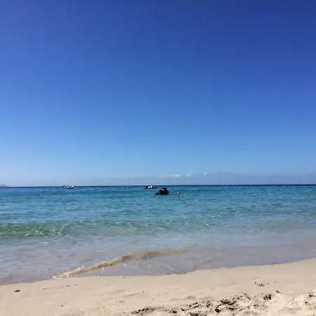 Vizzavona Piscine Et Jacuzzi * Ajaccio (Corsica)