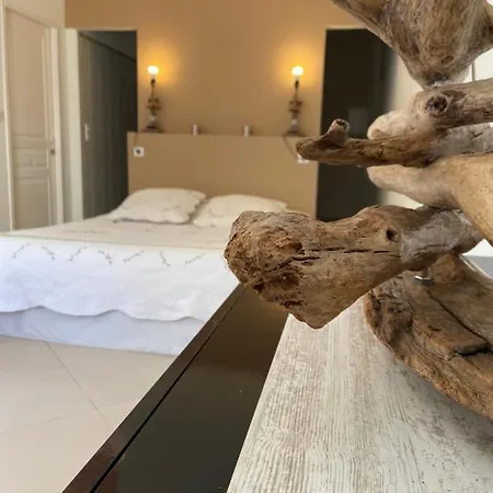 Villa Vizzavona Piscine Et Jacuzzi Ajaccio (Corsica)