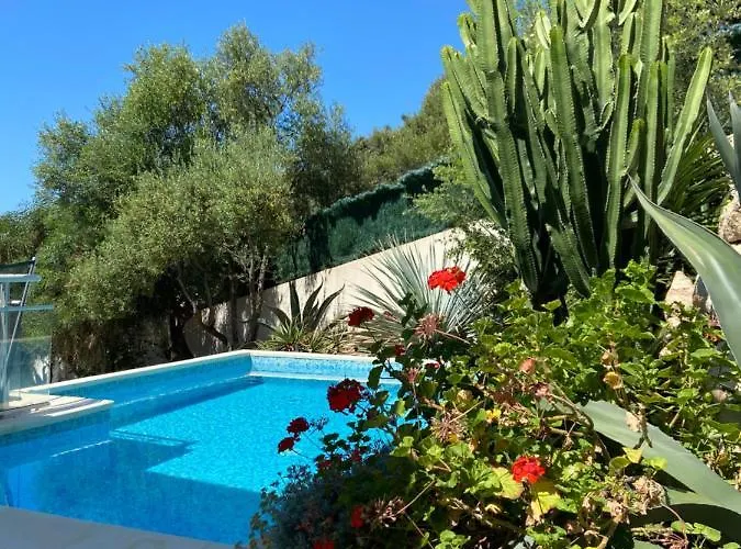 Vizzavona Piscine Et Jacuzzi